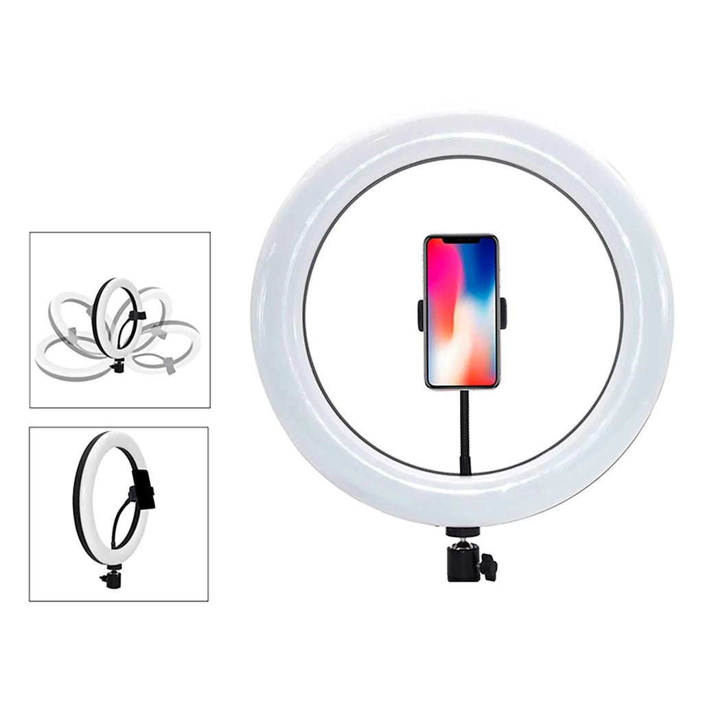 Snapsy Ringlicht 10 (160cm)