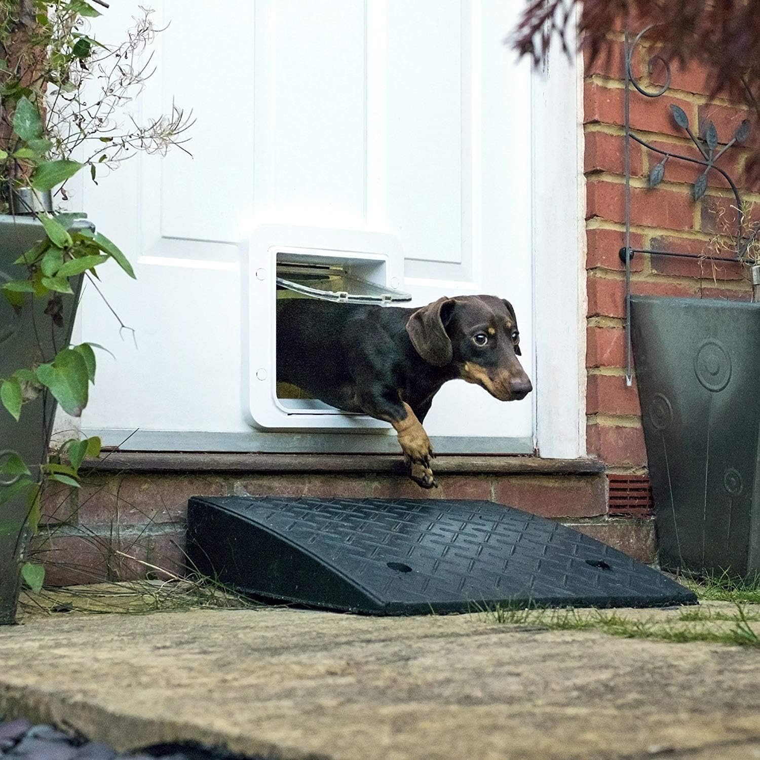Sure Petcare SureFlap Mikrochip-Haustierklappe Connect mit Hub, Steuerung über Smartphone-App, mit Sperrmodus, Einbau in Türen, Glasscheiben und Wände, für Katzen und kleine Hunde, weiß