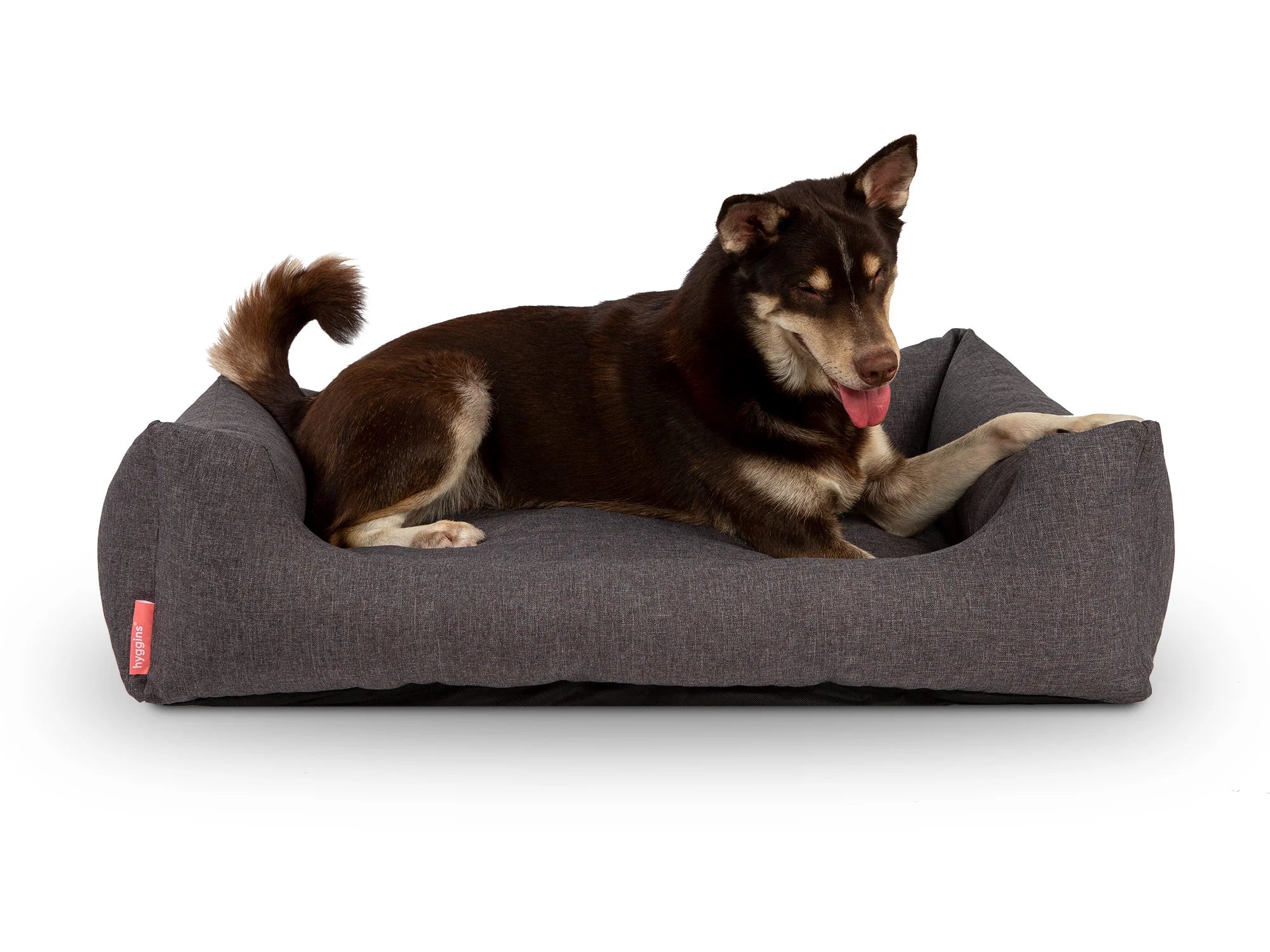 Cuccia per cani Dreamer Pure