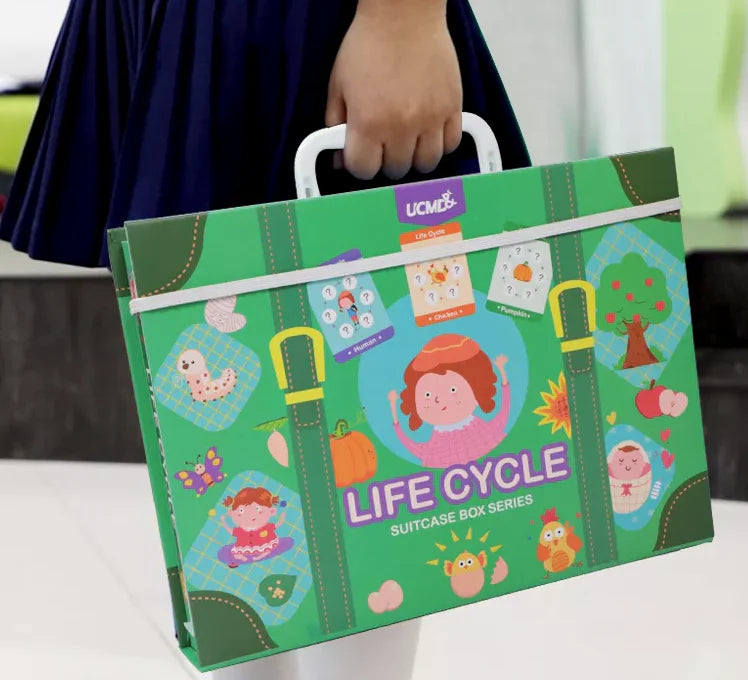 LifeCycle - Ein spielerischer Weg, etwas über Lebenszyklen zu lernen! - Puzzle Box