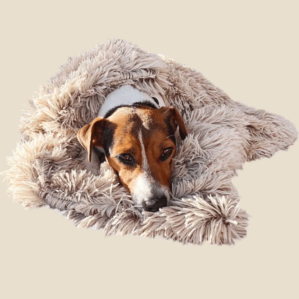 CuddlePaw Haustierdecke - Komfortabel und Weich für einen Entspannten Schlaf
