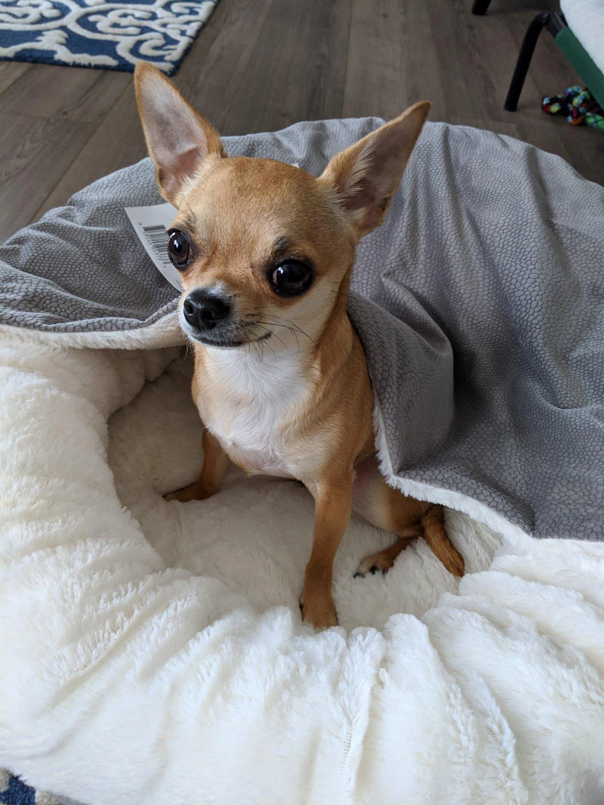 Flauschige Hundehhle Kuschelwolke – Perfekter Rückzugsort für deinen Liebling