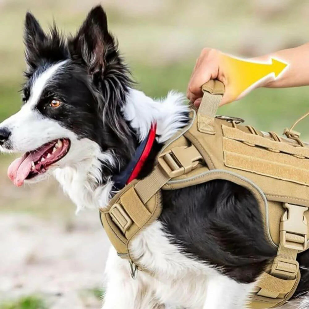 BattlePro – Militrisches Hundegeschirr für starke Kontrolle und Komfort