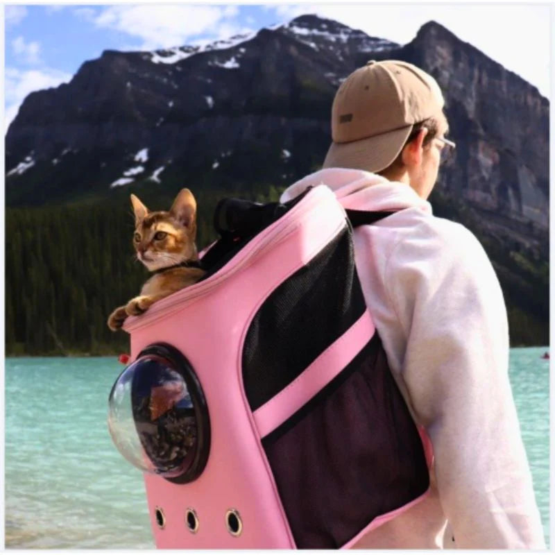HundeJoy Katzen-Transporttasche – Sicherer Begleiter für jedes Abenteuer