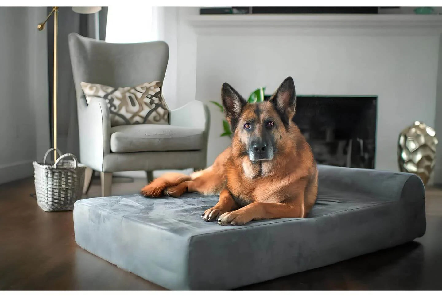 CozyNest – Lussuosa cuccia per cani di taglia grande con comfort e stile