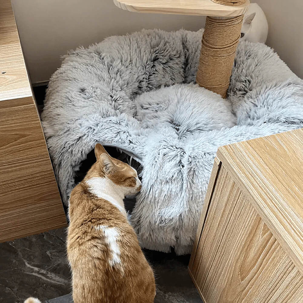 FelineKomfort – Klappbares Tunnelbett für Schlafen und Spielen