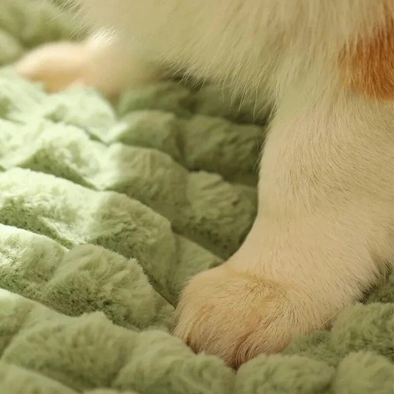 Mika | Komfortables und Unterstützendes Hundebett